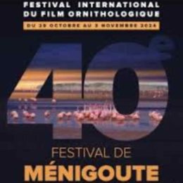 Festival Ornithologique Ménigoute