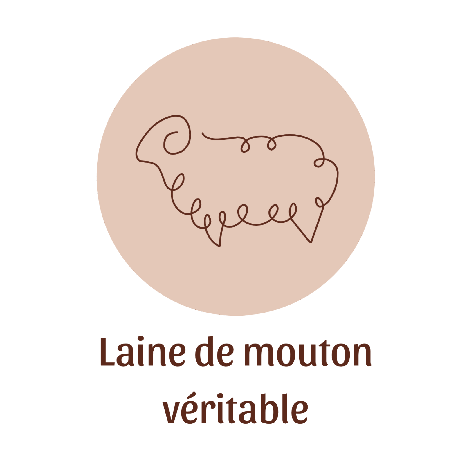 Laine de mouton véritable
